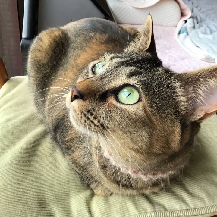 8423ffd8 a6d5 4093 8bda c86c1d181a7f 1654421303169