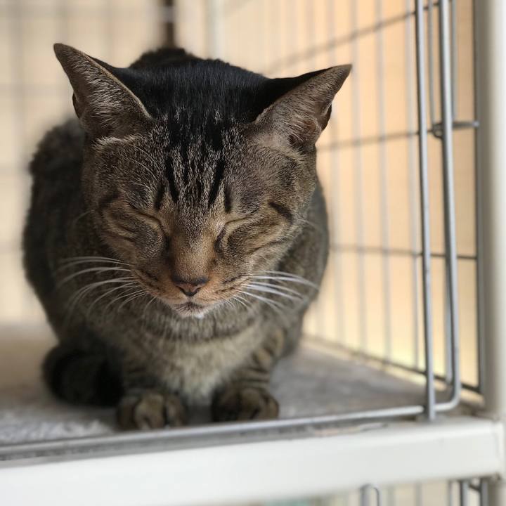 84242486 419a 4835 b70b 52cbfa7f5f30 1513819539025