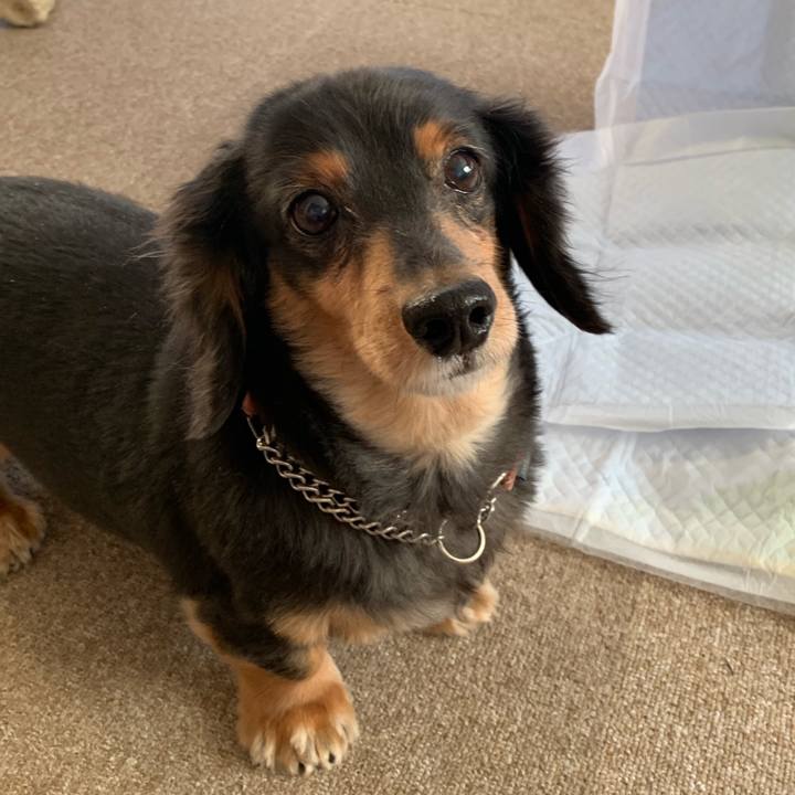 84244069 9257 41e5 84b6 4e2d4723c50e 1573597278500