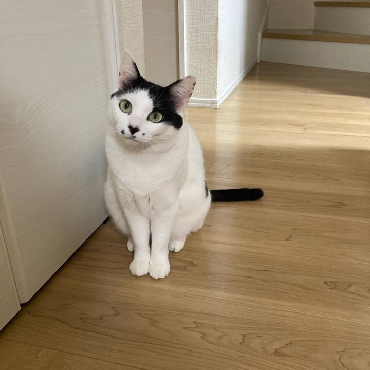 84244813 140c 4c58 8c2d 4e9c307853a7 1770412327621