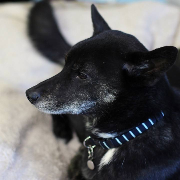 84245bfa 50e7 4473 aa5a faf2d7458c2e 1614316888984