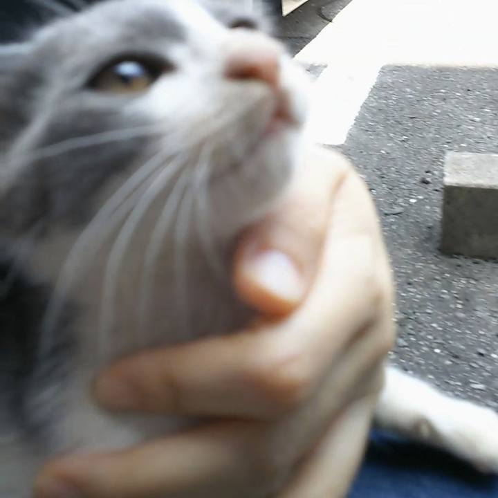 84248b9c 9e73 4916 8e75 dfca580234d6 1530414354577