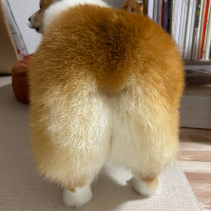 8424ace7 a300 4900 beb9 bd8324bca463 1745403808568