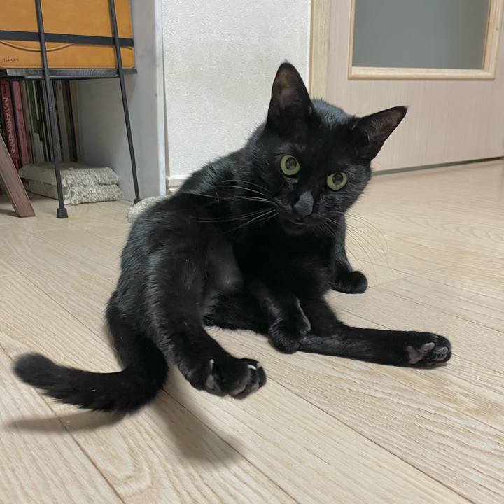 8424b1ea 7b1b 40f6 80bb d89fca5910b9 1642944932447