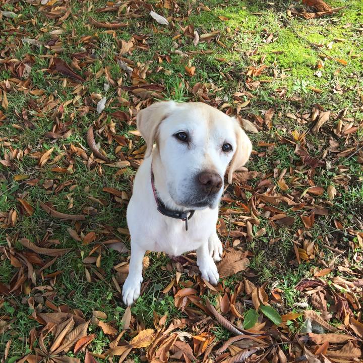 8424e844 9dc7 4dc3 88a2 8048d9ec3efc 1567983001421