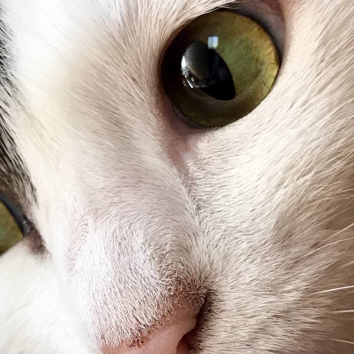 8424f227 1d04 4633 9154 1213c6fa93df 1532132608095