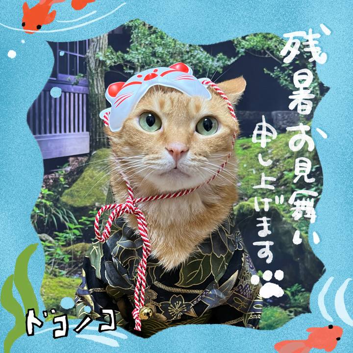 842502eb 7b82 44f1 8c26 a671b2c8e53f 1723191729076