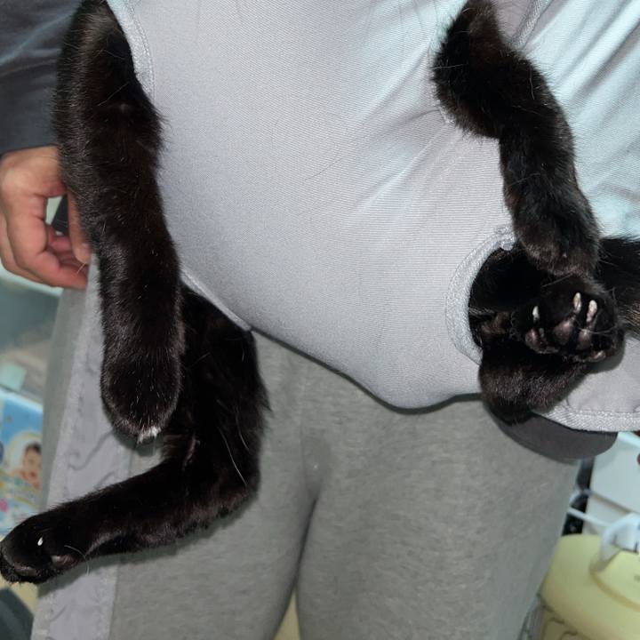 84250c54 f67d 45a3 8c07 69dfe6704785 1766774537666