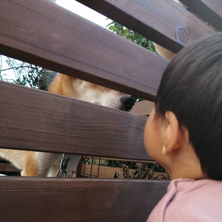 842525ee d242 48dd b46b 06c7710a96ef 1613451400946