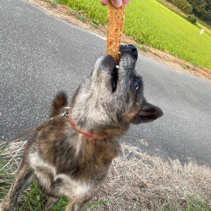 8425ae1e 63e9 4937 af6e 3f69b8eb7b82 1598616560016