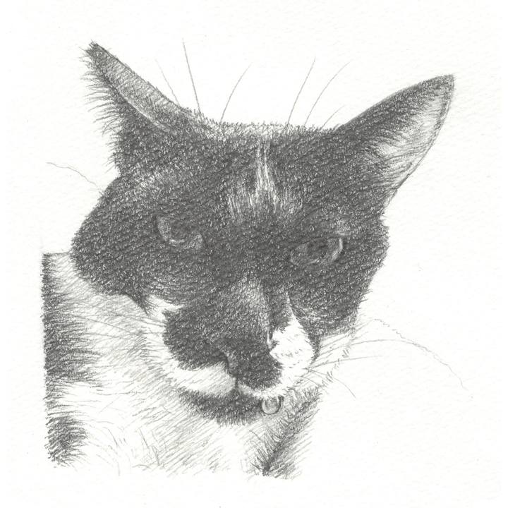 8425bed5 403f 47c9 b069 b2c1881d28ee 1544878440922