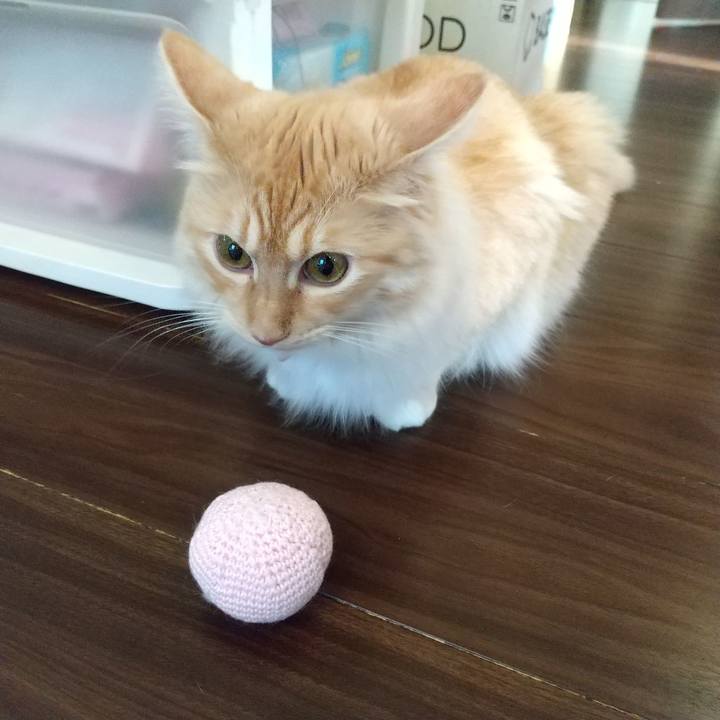 8425cd64 c5c9 463b 8b36 0addb711f517 1628549102886