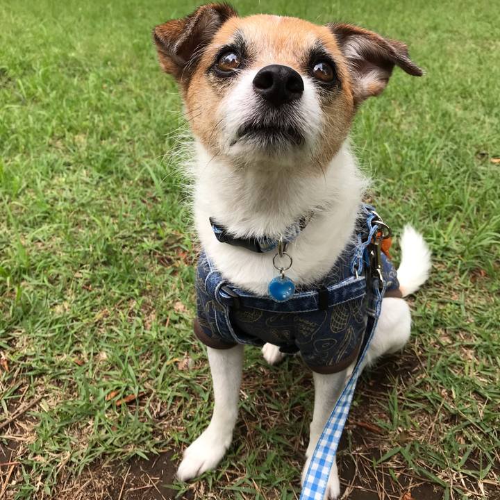 8425d06a b481 45f1 9e23 ebdd87a342a2 1560237607929