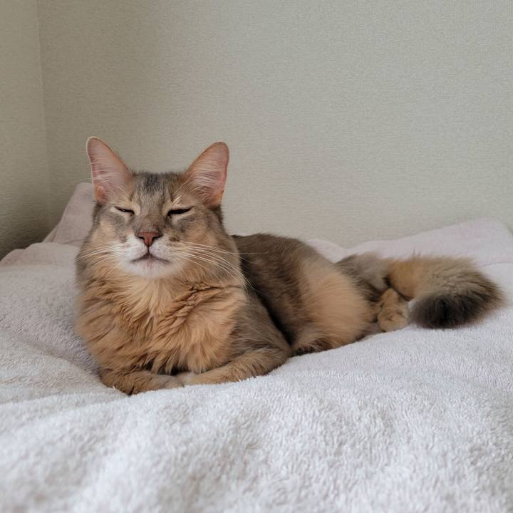 8425d2d7 d218 48fa 92bc 23c2b7a3ecf6 1698384400613