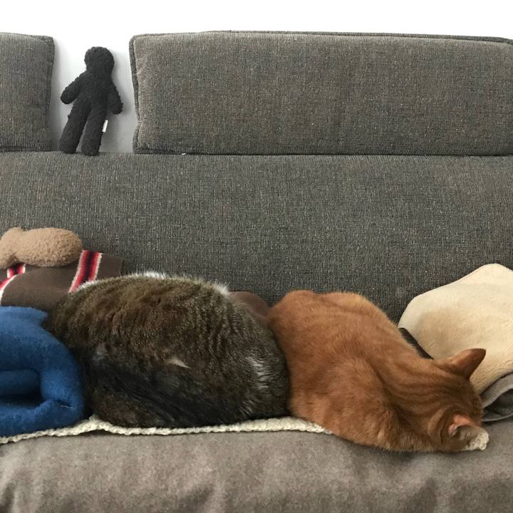 8425e460 af32 4cbf 92e5 27529afc9efd 1579934813396