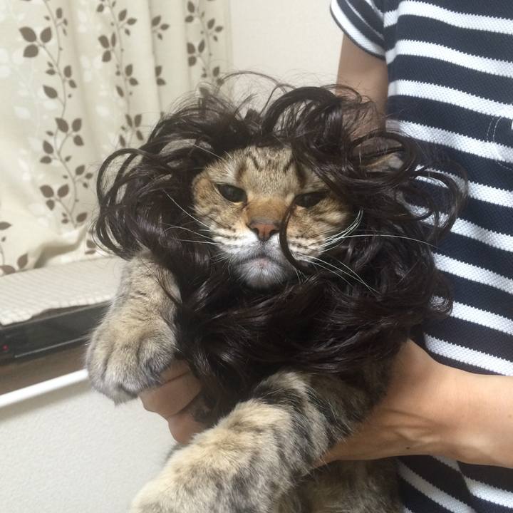 8425e639 b8b6 4fe2 a5cf e75da596d66a 1597371466848