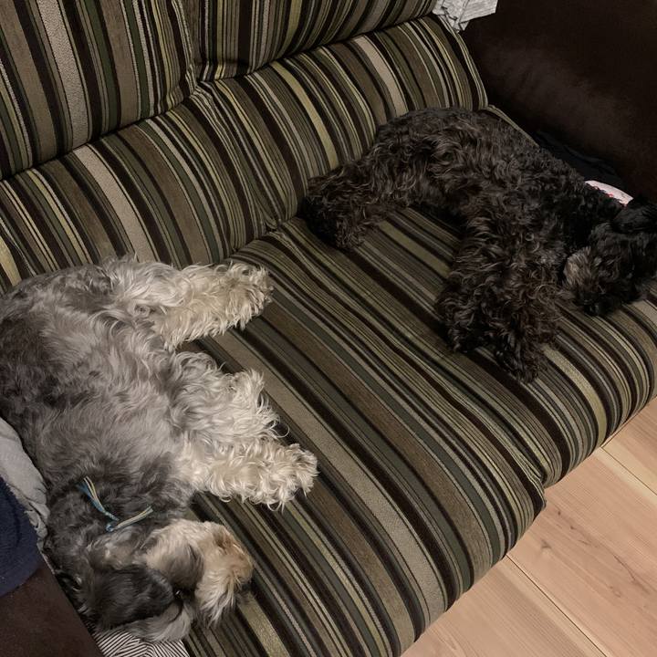 842607d4 7cf4 4f00 9dd1 f797a4f8026a 1588250643484