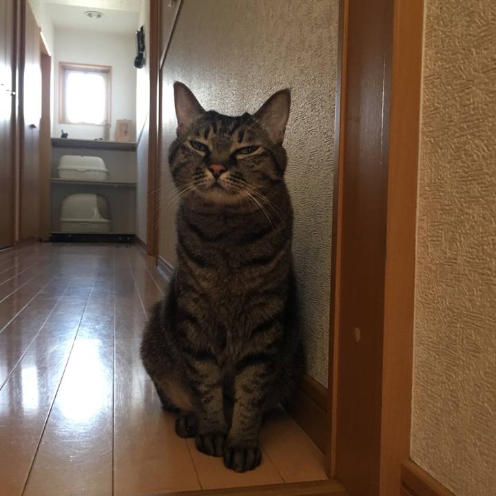 8426122f 39a9 48b4 95ed a9ea32c66fc8 1535327528644