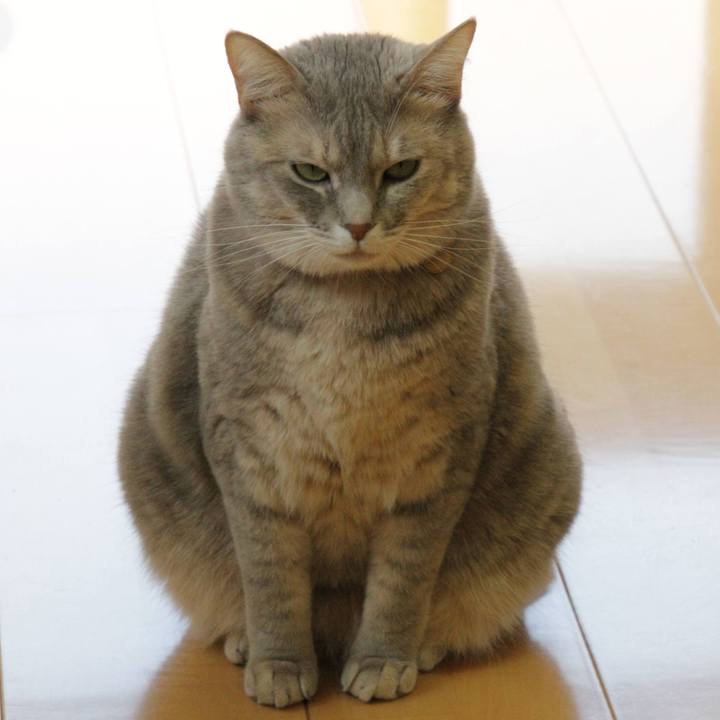 84261d43 8b7d 4b8f a5b0 565da9ae53e4 1637034389860