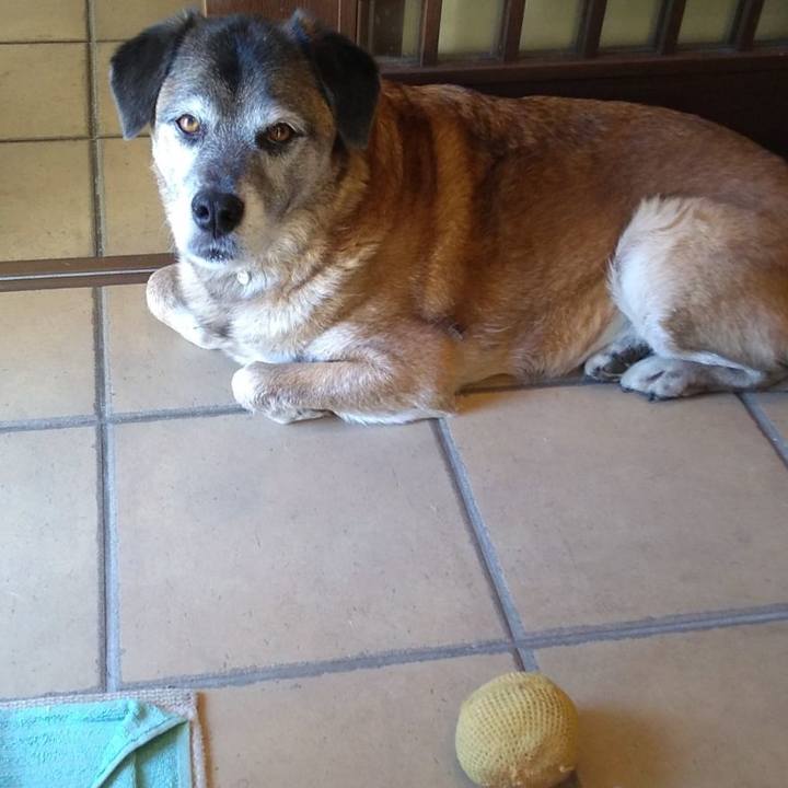 84262524 4718 46c0 8759 a38fc825f9d4 1548145732879