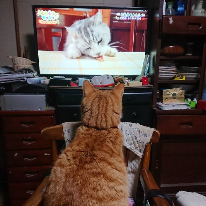 84263530 1e07 428f 9908 c770ebe4b69b 1578210547522