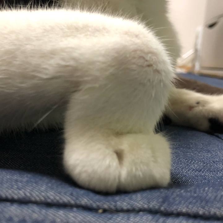 842663cf 6a0c 4e22 a7da e7056166bdc8 1568437912048