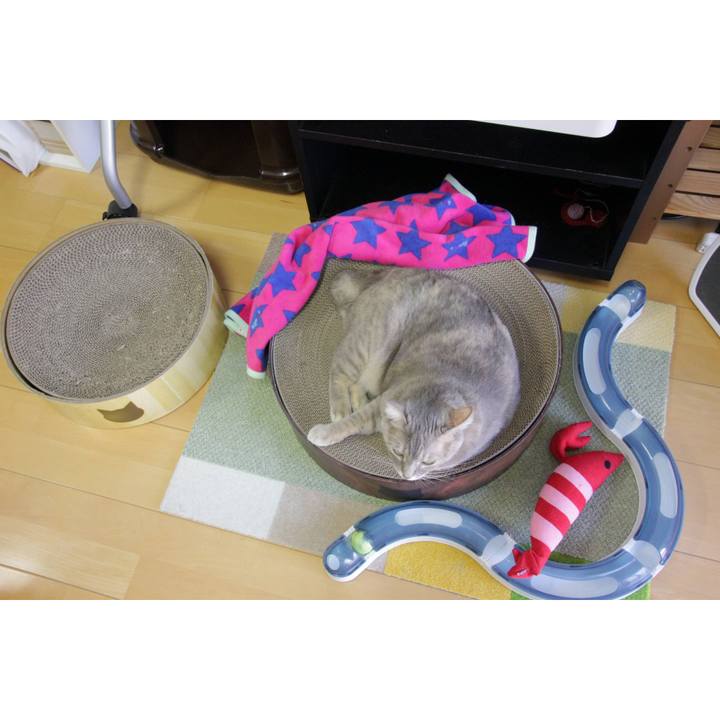 8426807f 792c 4377 bfc5 feeba6793e6d 1638803738734