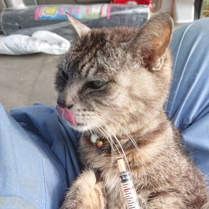 842684f8 83ec 44df b14b 0d8b0e2fcd25 1592085913879