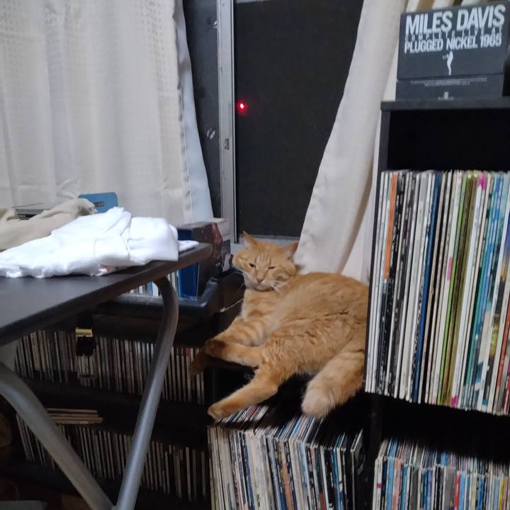 84268900 4472 49a2 94c8 3aec4b1da54d 1721563081215