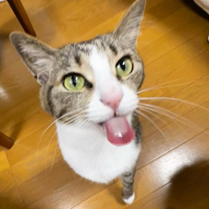 842699cd 379c 48f3 9479 ffea105e98b6 1752840164775