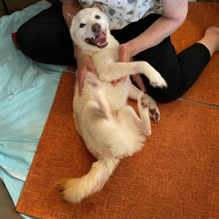 84269fdd 351a 483b 92ba 251e3400b54d 1664690104989