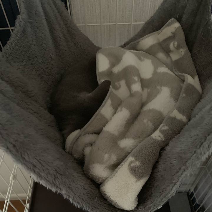 8426b336 a1c8 4523 aa52 858f8e4e2856 1574836355270