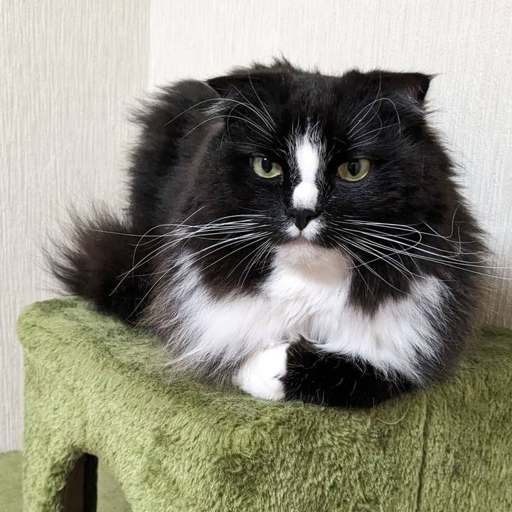 8426c226 63e7 4f90 aa3b c3f9bbb2bfa7 1713129880152