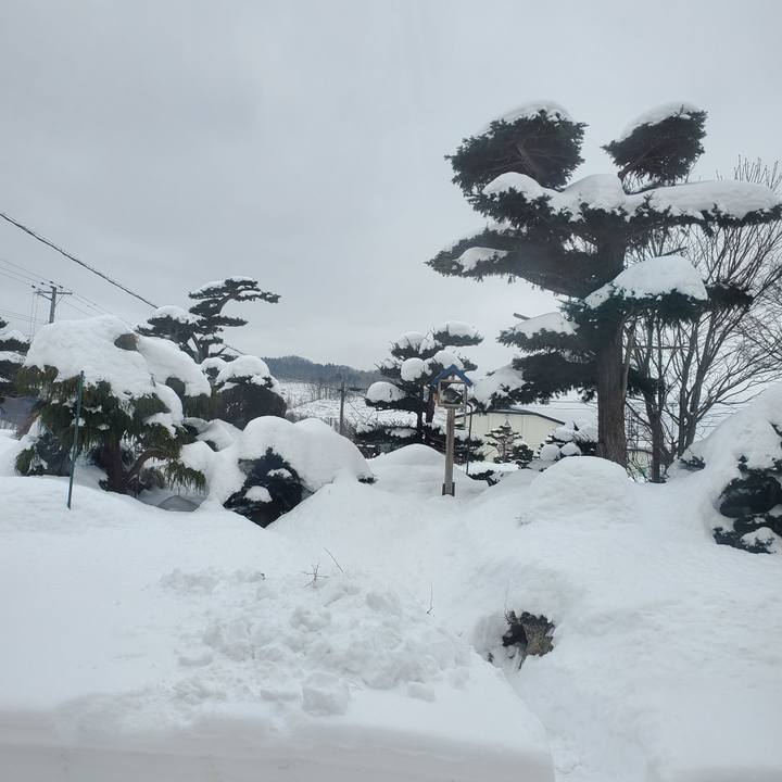 8426d5a1 7249 4924 b8fa 34241b433c60 1705891345936