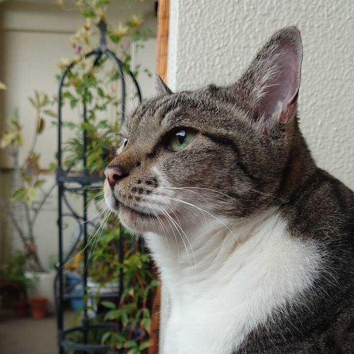 8426f924 4235 47fb af92 51860208a852 1696379819342