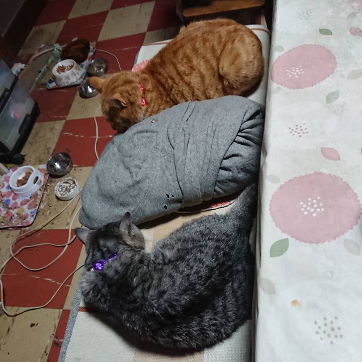 842706e5 17ab 461a b487 c58ab033254a 1577948983464