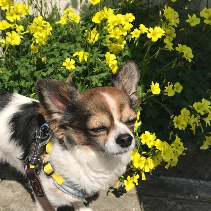 84271e26 d4e7 4425 afa3 7b869580cf75 1521950456913