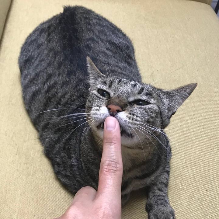 8427268d d491 48dd 8571 62508a796c24 1529422343306