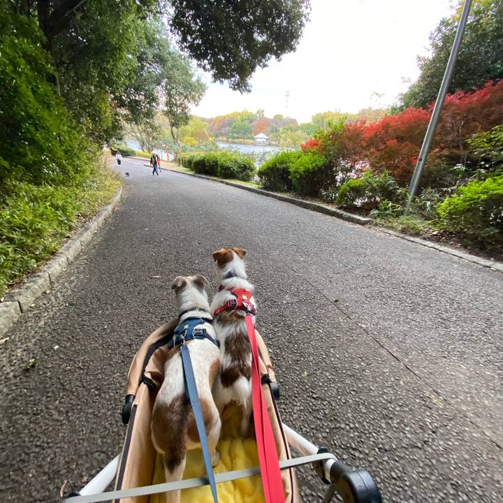 842742ad 2128 474f b388 9c5772339cdc 1670759986610