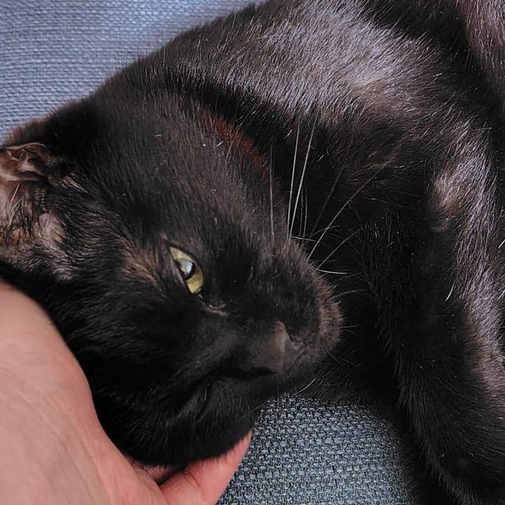 84274739 585c 4e3c b7ab 542d033af338 1752503170113