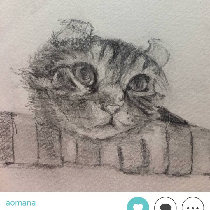 842756e2 b519 4936 ae22 d25572b1eeeb 1529766222828