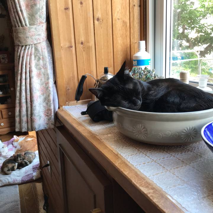 84276c96 cb84 4179 8feb 1443884035f9 1600752540561