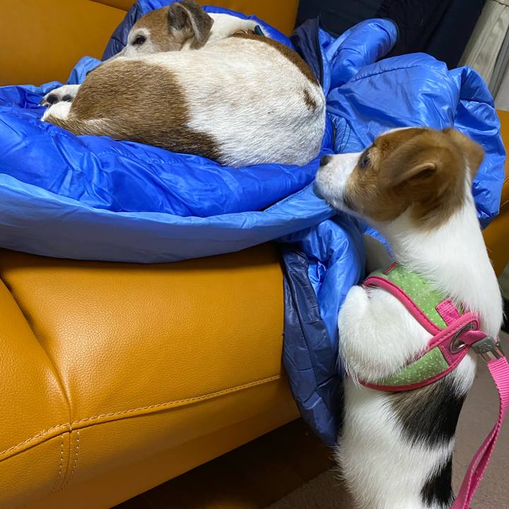 8427b7ef 6840 40e6 8a11 786e6df91aaa 1611495408430