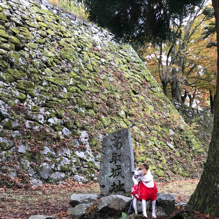 8427d432 2e13 46b6 9a86 bd218def9e75 1511081896826