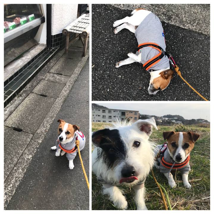 8427db94 c341 490d ab36 6ccc70a330a8 1521101823696