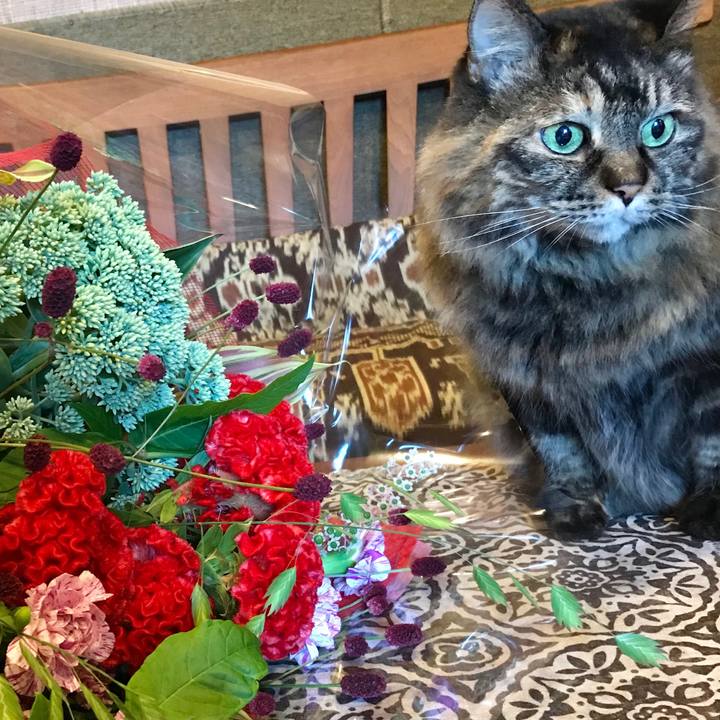 8427e512 d476 4830 a457 dacb6ea5339b 1597536847849