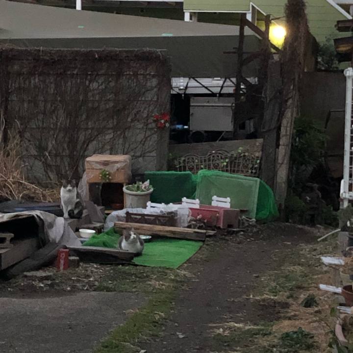 8427e7b1 c6f6 4be6 aafe 85ed0dae4c7d 1551460505041