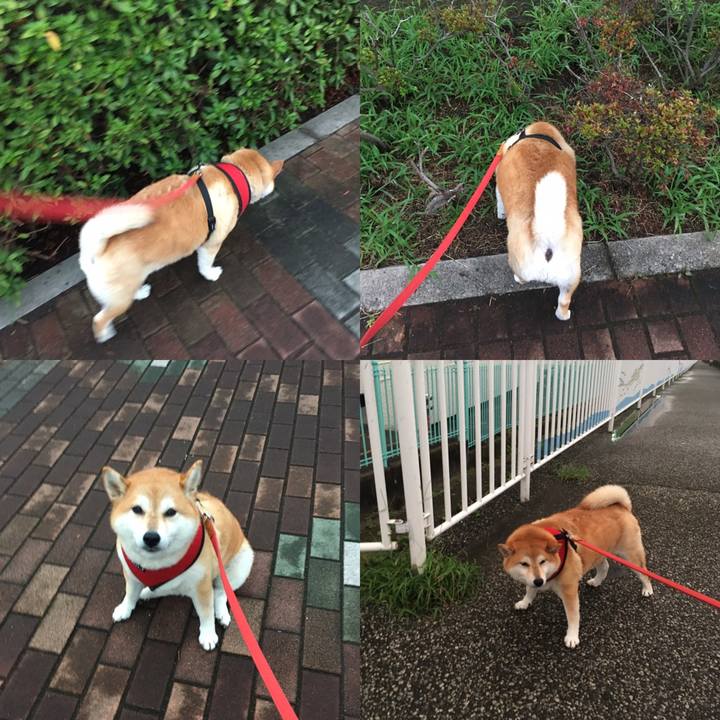 84282b91 0b38 4695 8dad cb2aeceb27e3 1600850965826