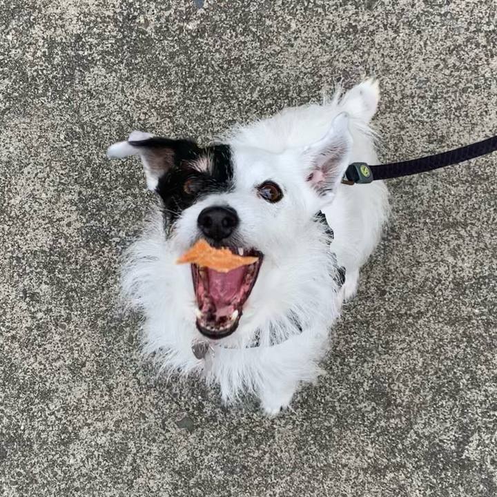 8428599d df2f 4547 a0f4 0ba040e6d086 1716078155942