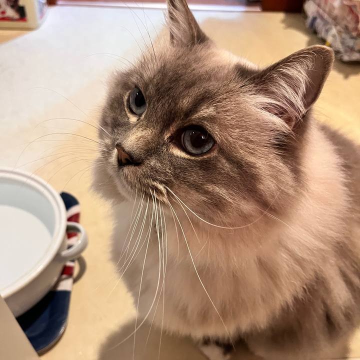 84286580 51d9 4cff 9063 2d39a3ca2cb7 1691491555619